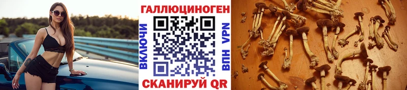 Псилоцибиновые грибы Cubensis наркотики Заволжье