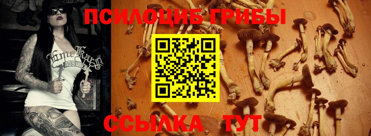 Галлюциногенные грибы GOLDEN TEACHER  Галлюциногенные грибы Psilocybine cubensis  Вход с VPN  Заволжье 